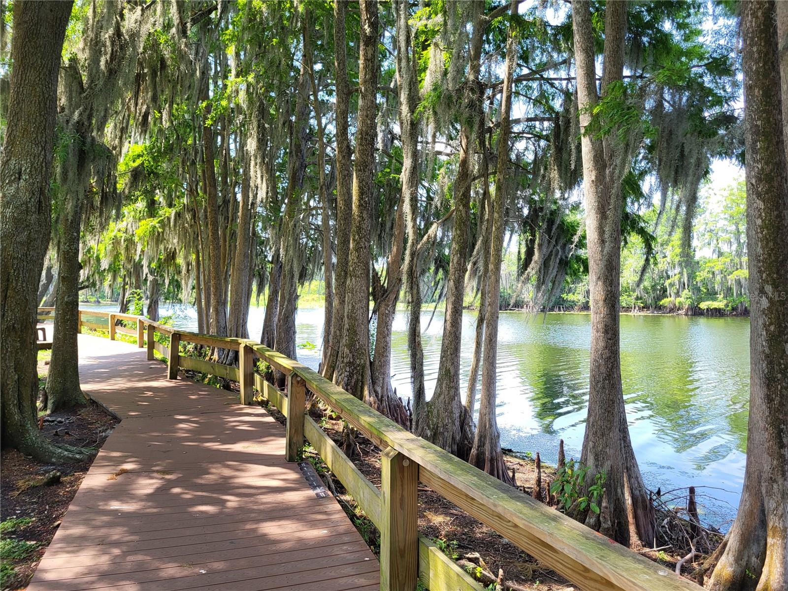 TEMPLE TERRACE RIVERSIDE SUBDI - Residential