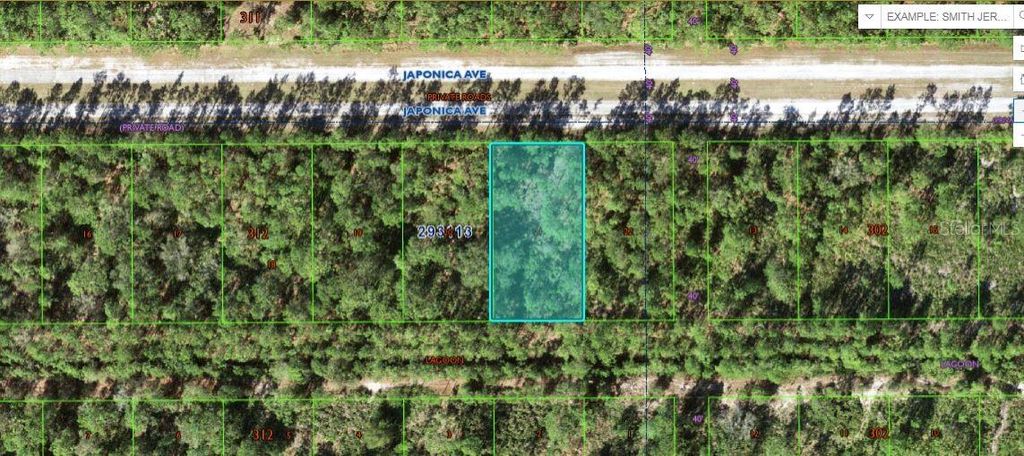 Photo of 1103 Japonica Avenue, Indian Lake Estates, FL 33855 (MLS # O6229107)
