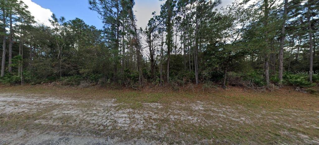 Photo of 1103 Japonica Avenue, Indian Lake Estates, FL 33855 (MLS # O6229107)
