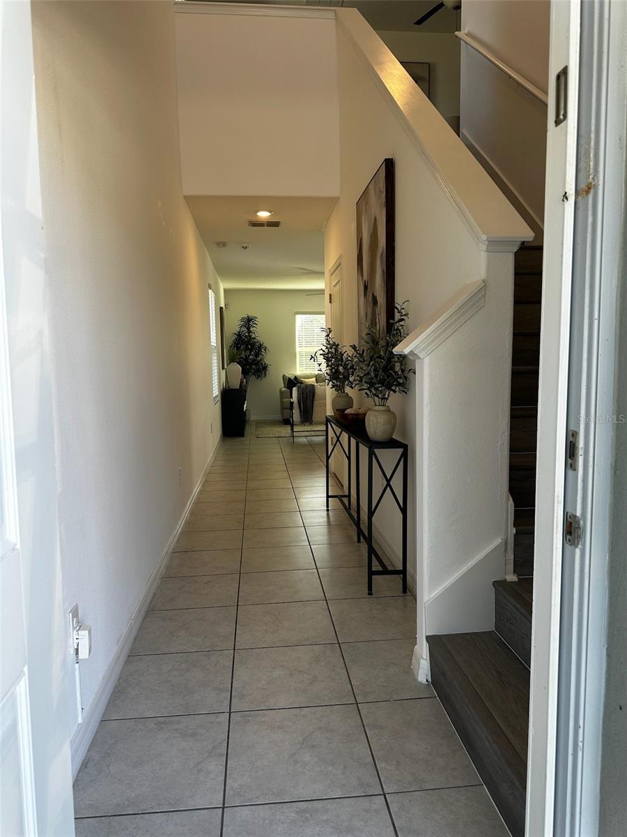 5213 DANDELION STREET