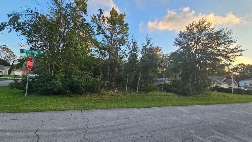 Photo of 1 Zoffwood Court, Palm Coast, FL 32164 (MLS # FC317295)