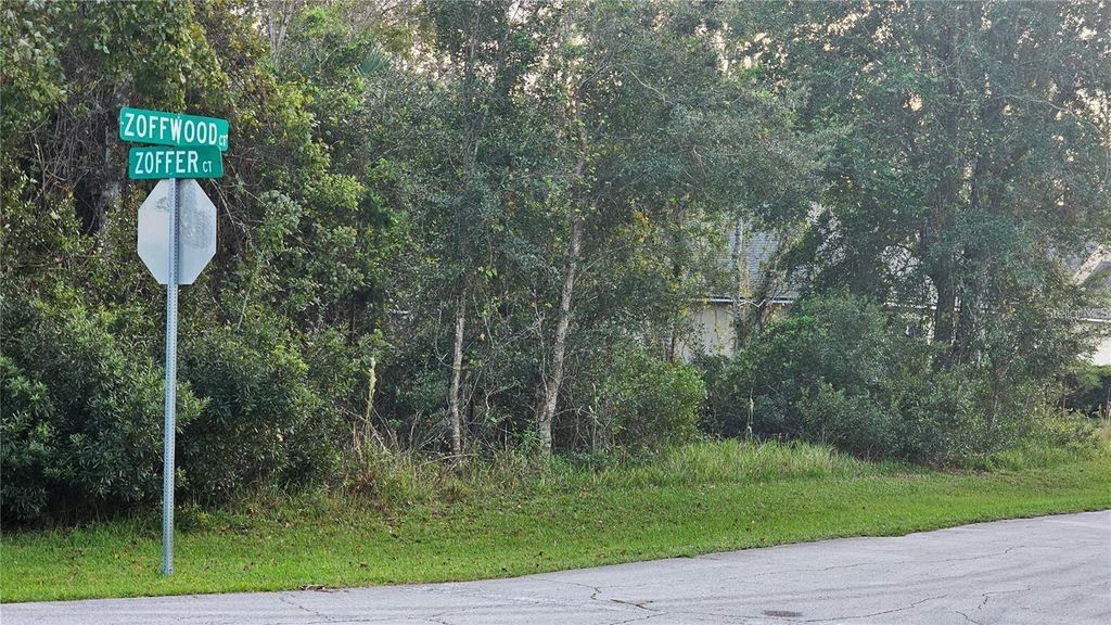 Photo of 1 Zoffwood Court, Palm Coast, FL 32164 (MLS # FC317295)