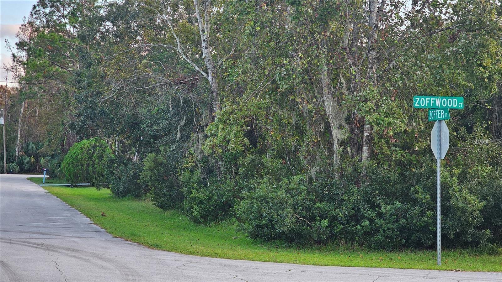 PALM COAST SEC 63 - Land