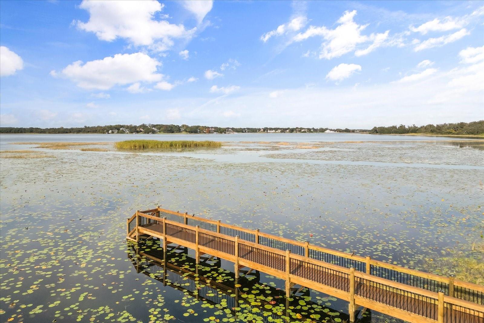 LAKEVIEW PRESERVE - Residential