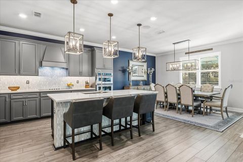 Tiny photo for 3340 Buoy Circle, Winter Garden, FL 34787 (MLS # O6372401)