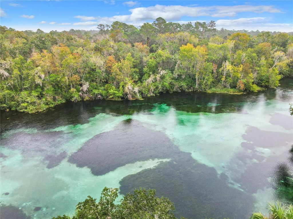 Photo of 10020 SW 202nd Circle, Dunnellon, FL 34431 (MLS # OM716314)