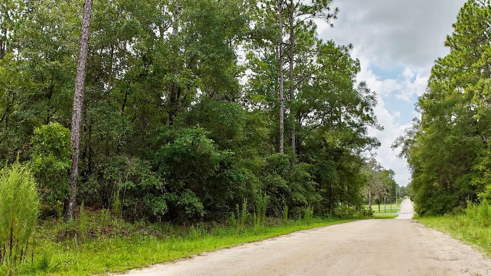 ROLLING HILLS UN 04 - Land