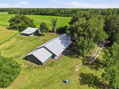 Tiny photo for 4351 NE 210th Avenue, Williston, FL 32696 (MLS # GC541868)
