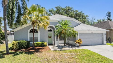 18013 PALM BREEZE DRIVE TAMPA FL 33647