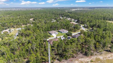 Tiny photo for 69 Grass Street, Homosassa, FL 34446 (MLS # OM709422)