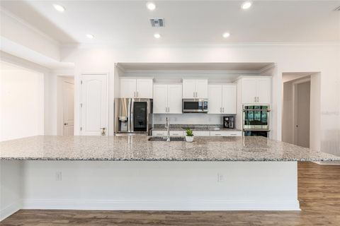 Tiny photo for 69 Grass Street, Homosassa, FL 34446 (MLS # OM709422)