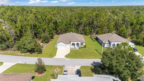 Tiny photo for 69 Grass Street, Homosassa, FL 34446 (MLS # OM709422)