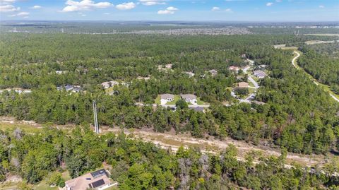 Tiny photo for 69 Grass Street, Homosassa, FL 34446 (MLS # OM709422)