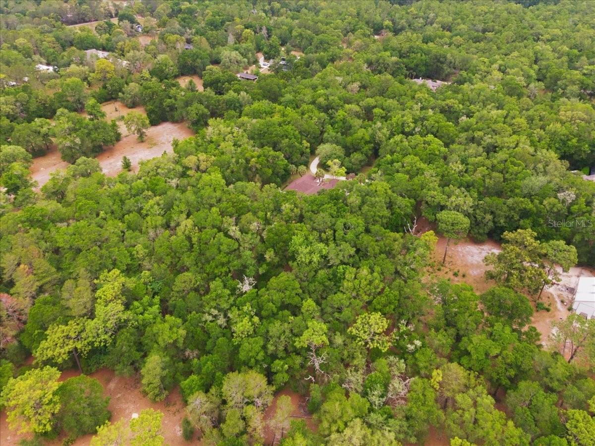 FARMS OF KANAPAHA REP - Residential