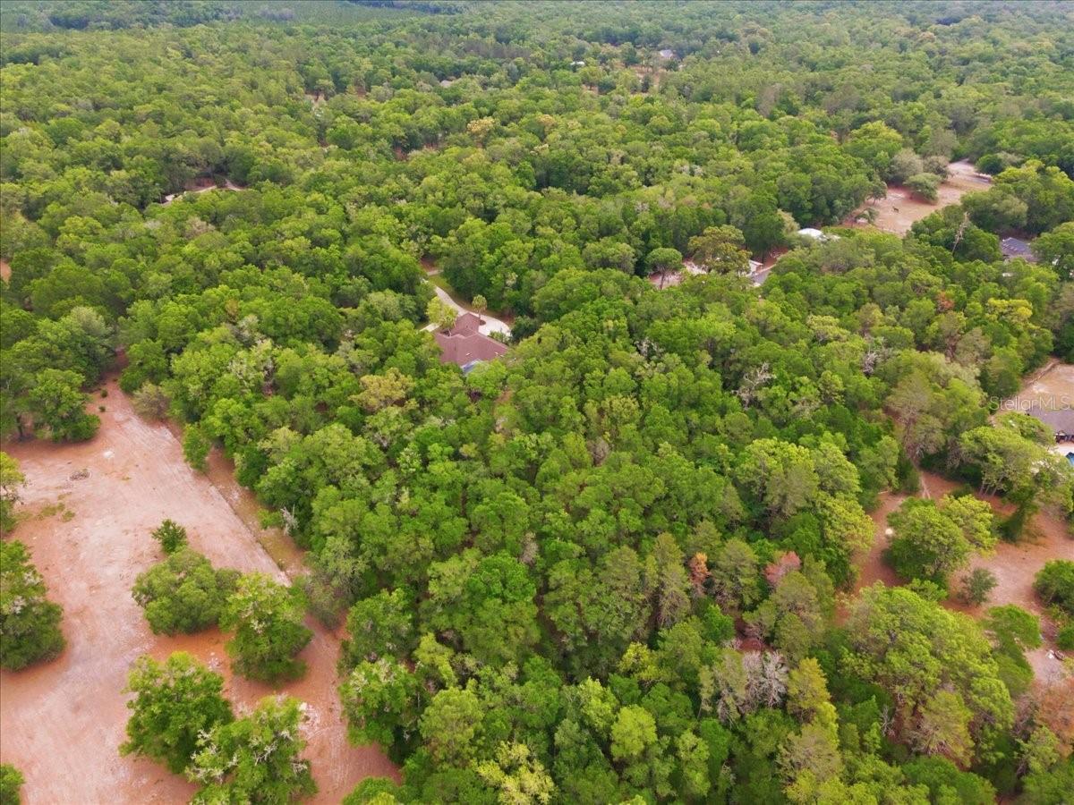 FARMS OF KANAPAHA REP - Residential