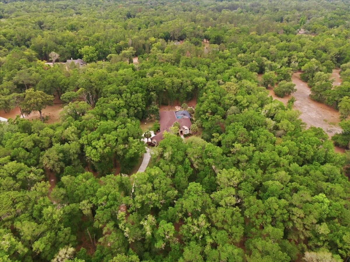 FARMS OF KANAPAHA REP - Residential