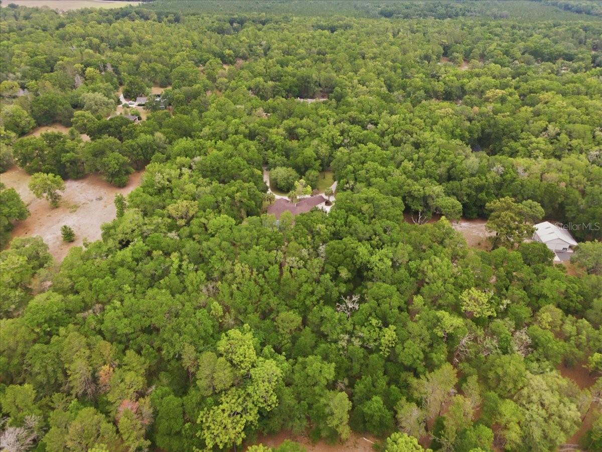 FARMS OF KANAPAHA REP - Residential