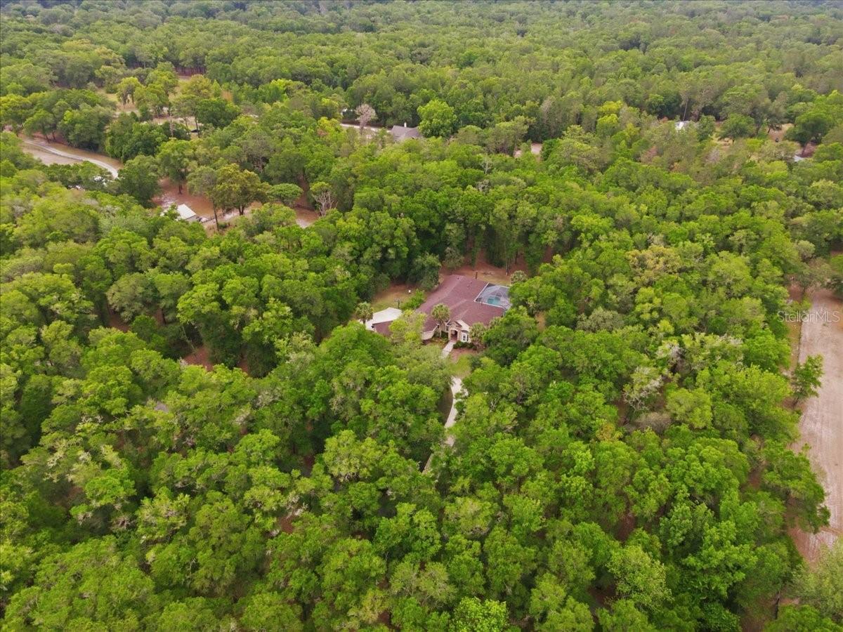 FARMS OF KANAPAHA REP - Residential