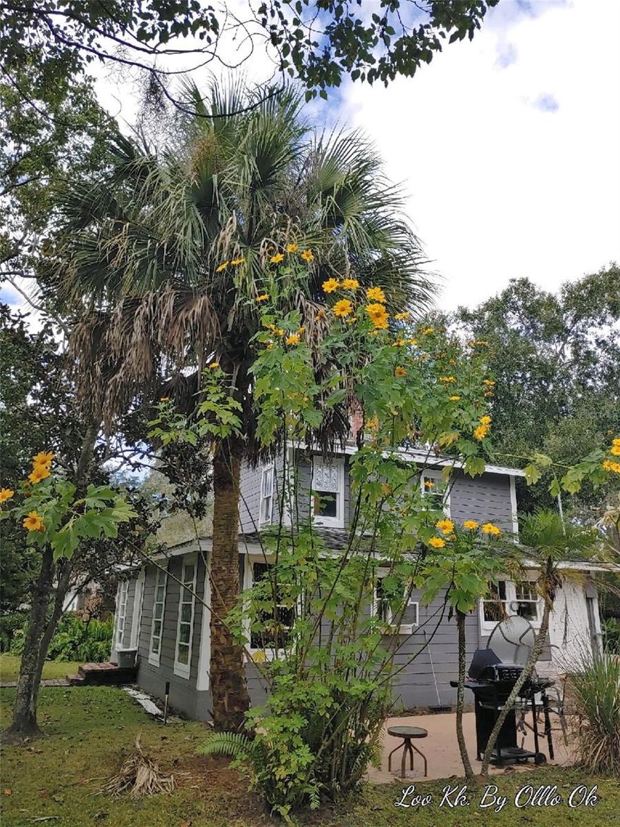 Large corner lot near downtown Kissimmee.  1926 home with wood burning stove.  32' x 11' oversized Shed/Storage.  Termite protection contract with Terminix paid thru April 2027, Hardie board siding installed 2022, solar panels, irrigation system.