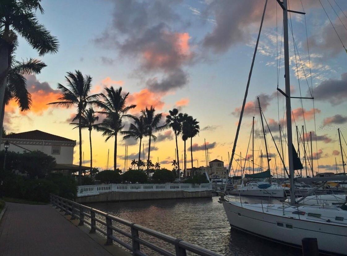 BRADEN COURT - Residential