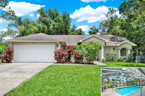 Photo of 2454 Shadecrest Road, Land O Lakes, FL 34639 (MLS # TB8468808)