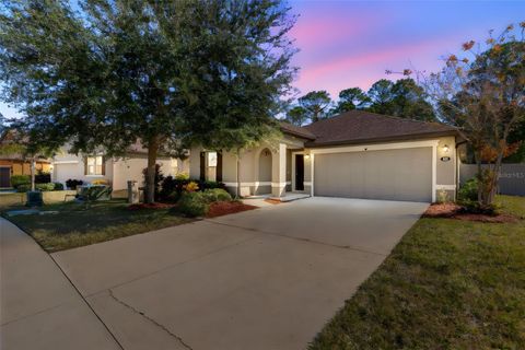 462 TUSCANY CHASE DRIVE DAYTONA BEACH FL 32117
