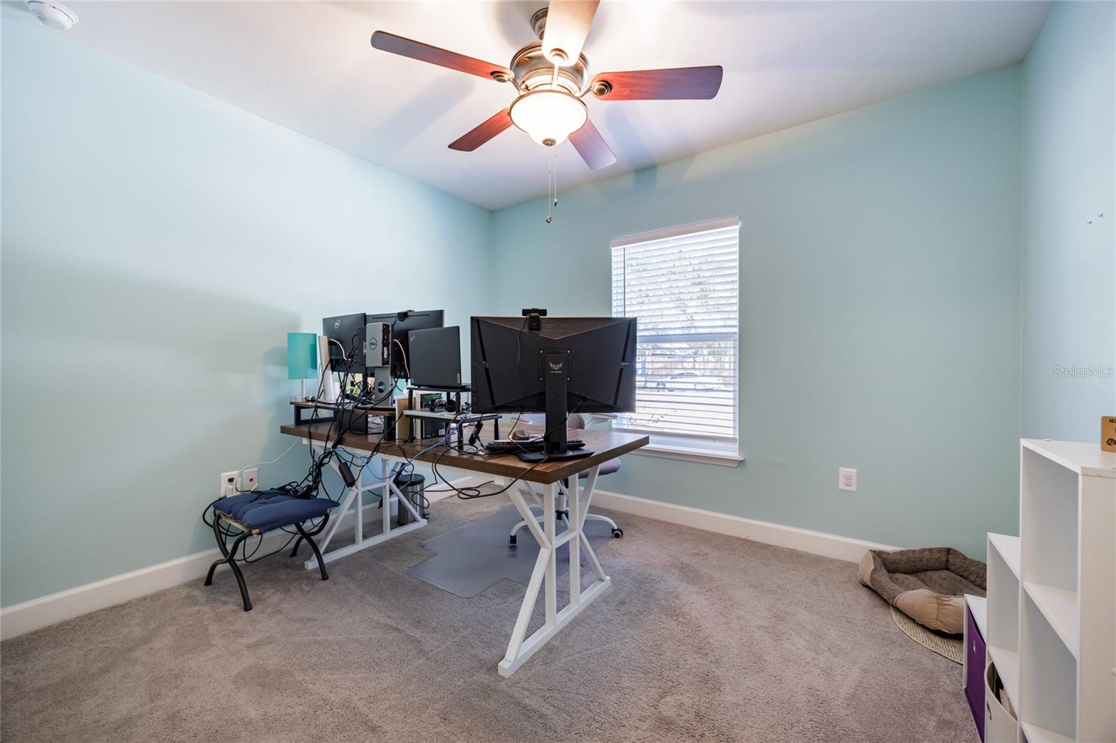 MEADOWS/BEAUTIFUL BRONSON - Residential