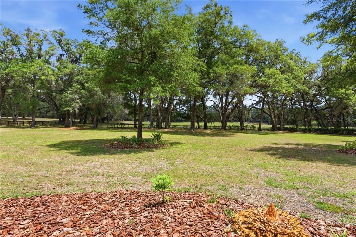 SANTA FE FOREST - Residential