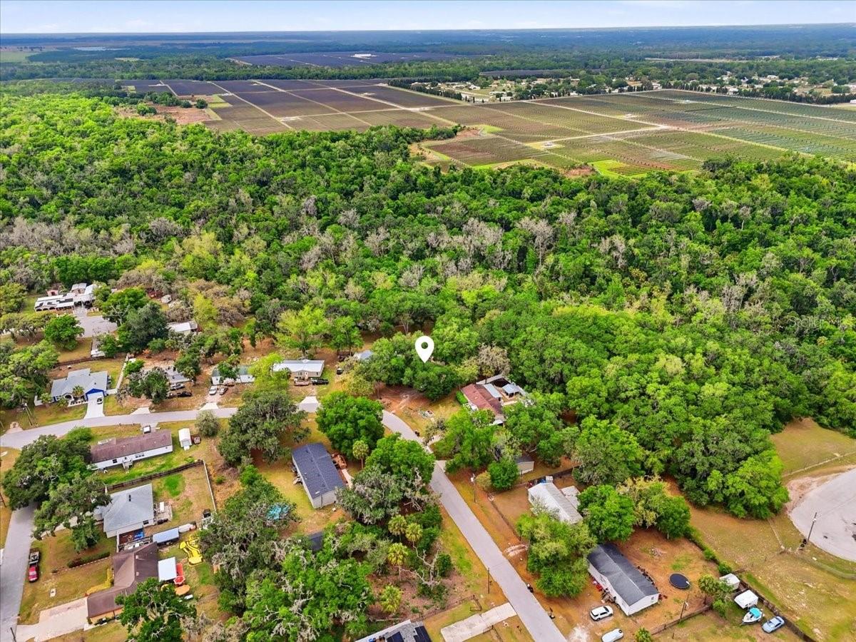 OAK HAMMOCK ESTATES - Residential