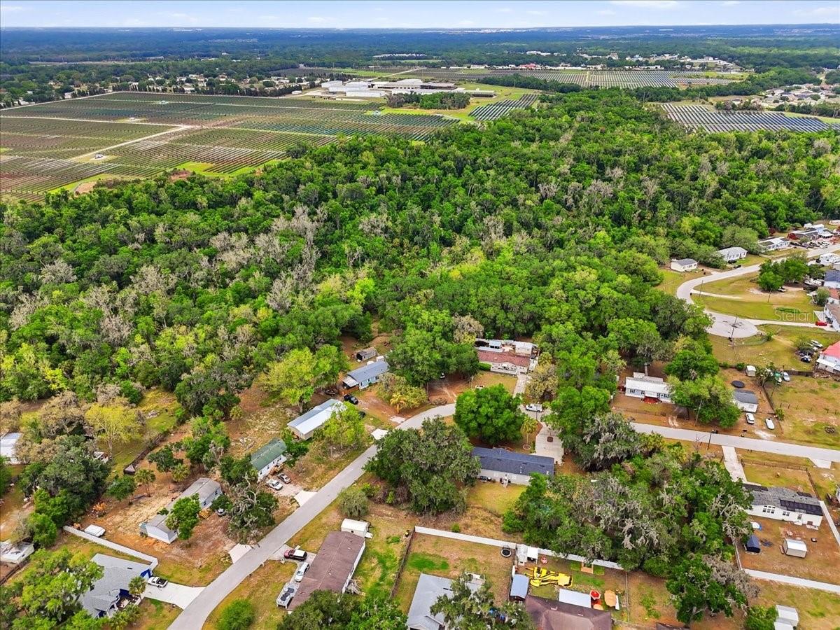 OAK HAMMOCK ESTATES - Residential