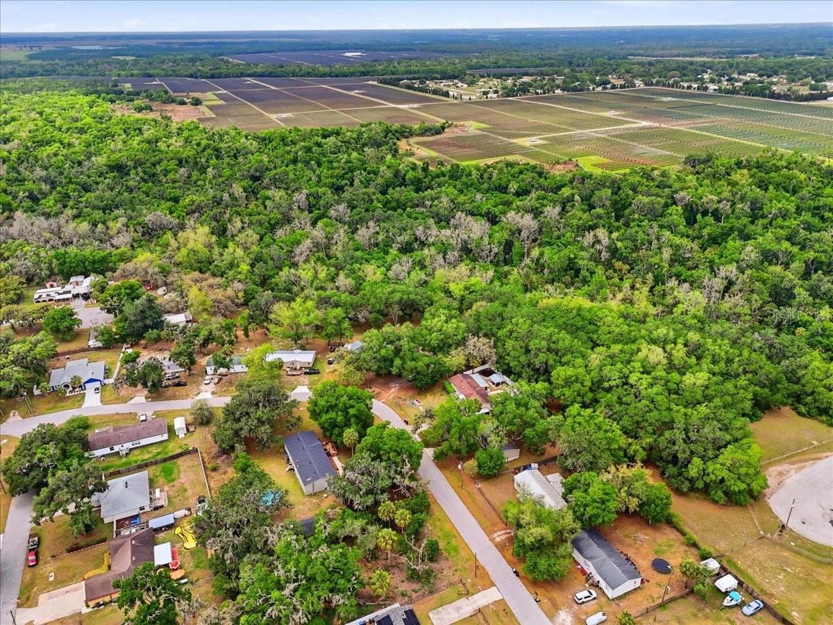 OAK HAMMOCK ESTATES - Residential