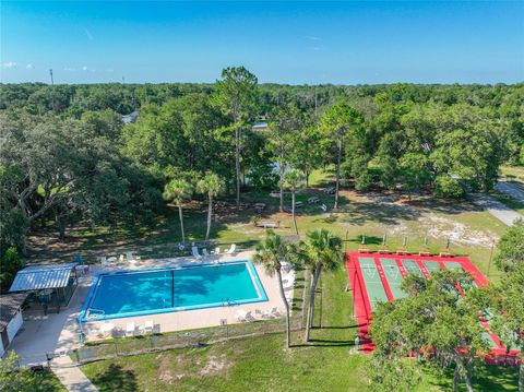 Tiny photo for 1925 Brookside Drive, Mount Dora, FL 32757 (MLS # G5114500)
