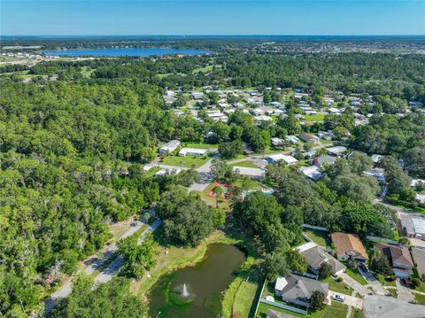Tiny photo for 1925 Brookside Drive, Mount Dora, FL 32757 (MLS # G5114500)