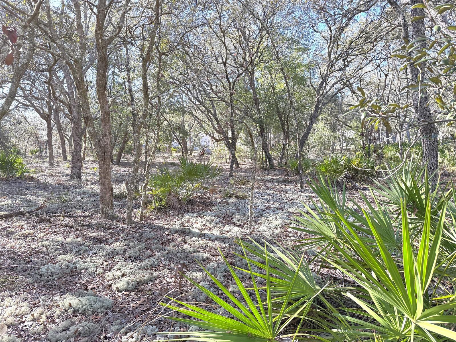 FOREST PARK UNIT 2 - Residential