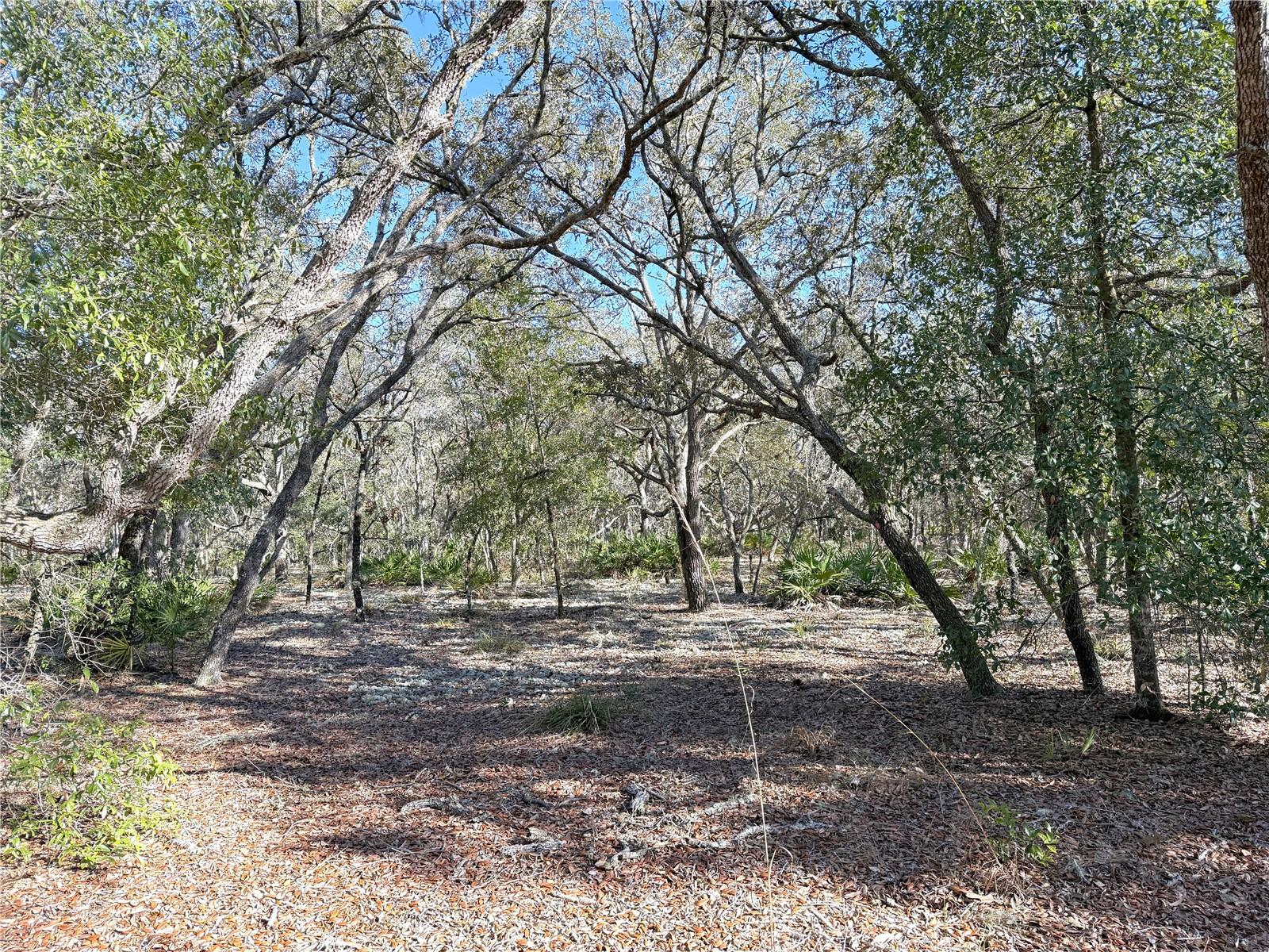 FOREST PARK UNIT 2 - Residential