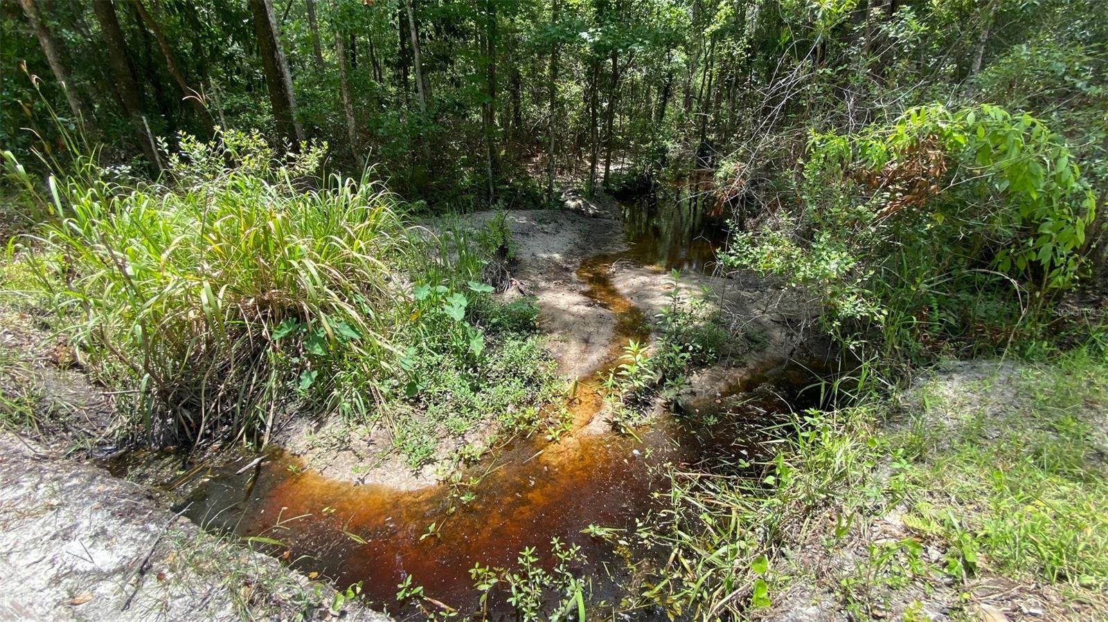 MELROSE - Residential