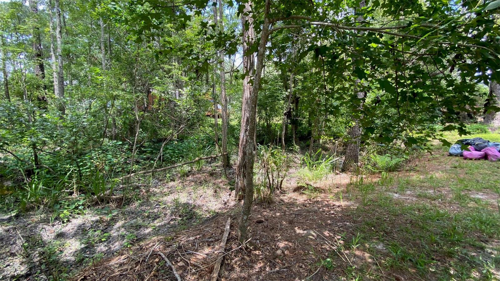 MELROSE - Residential