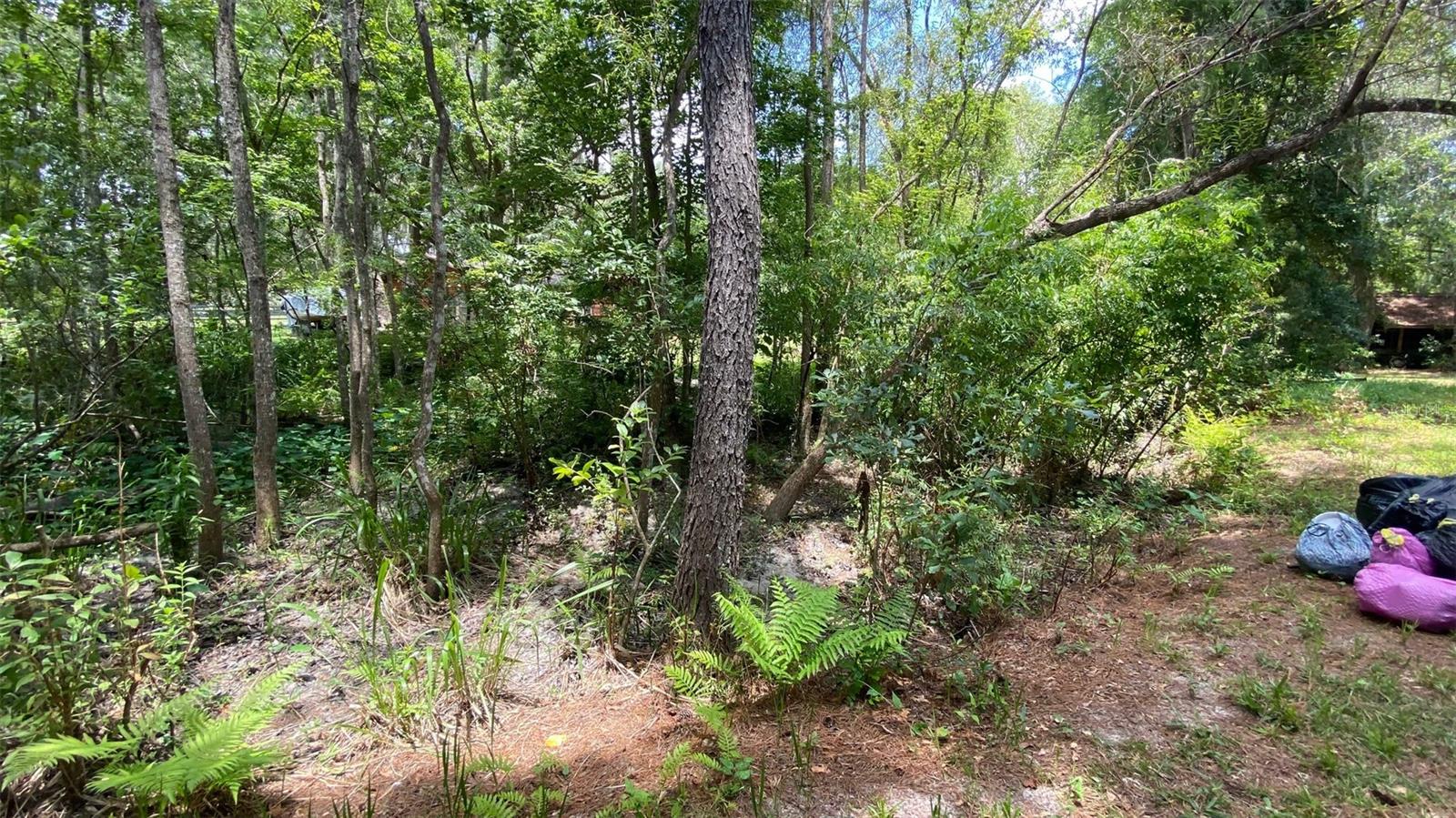 MELROSE - Residential