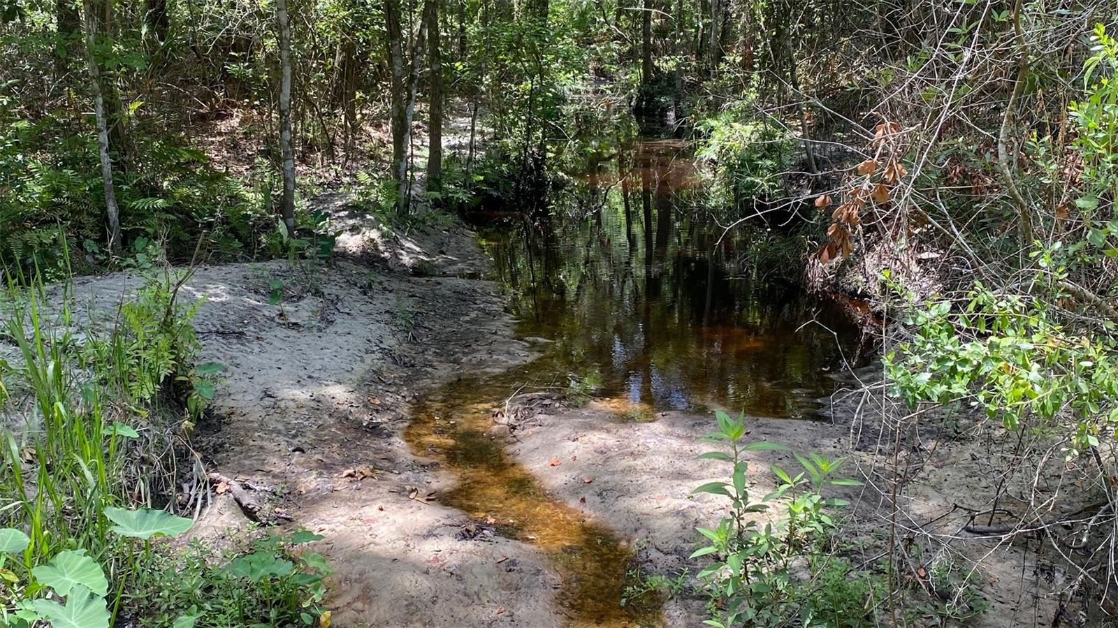 MELROSE - Residential