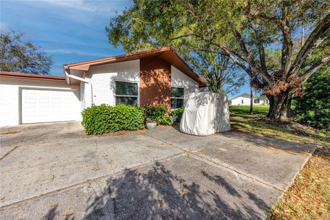 A home in PALM HARBOR