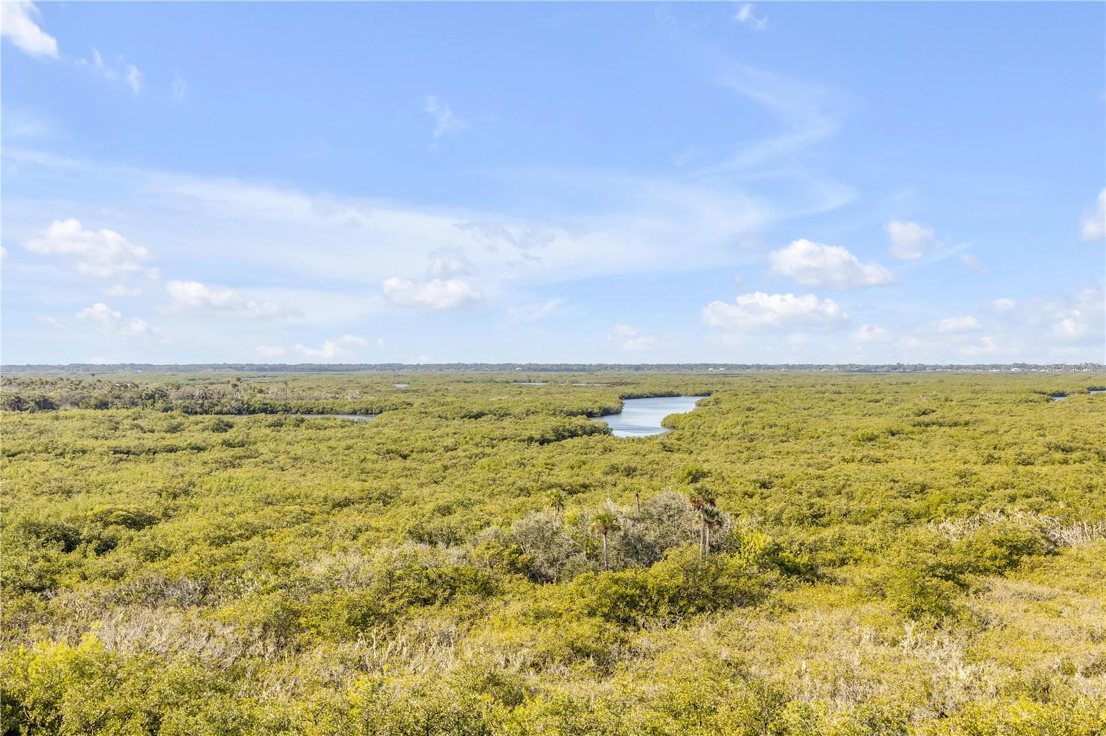 OCEAN WALK NSB CONDO - Residential