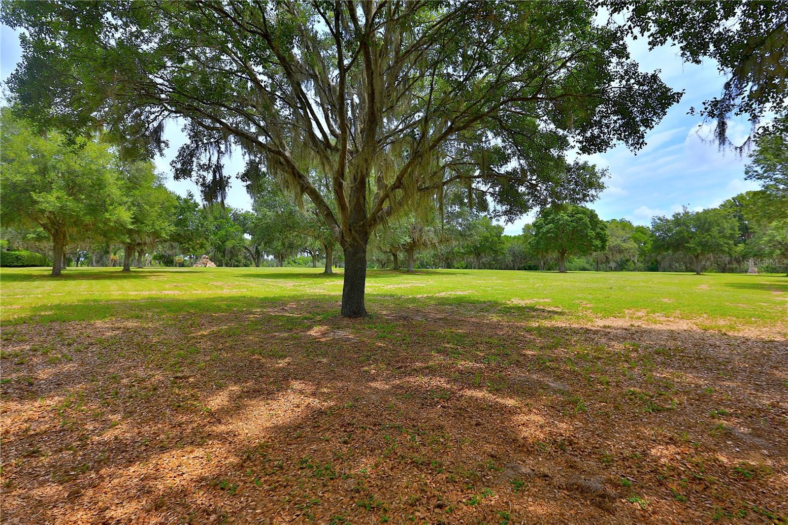 451 SE 80TH STREET