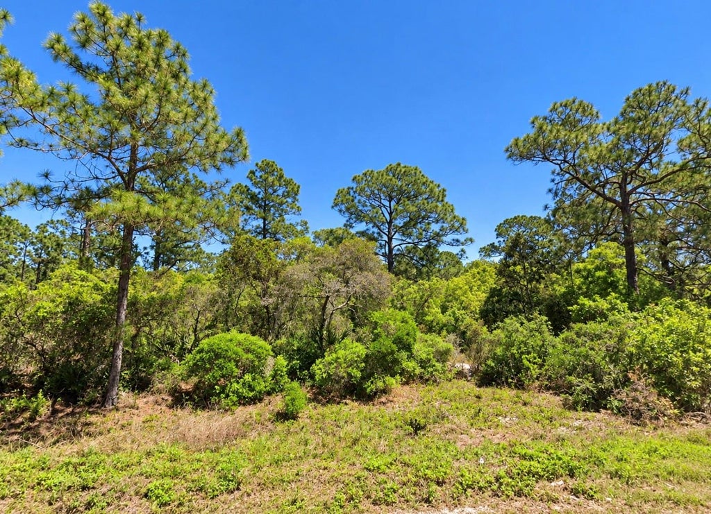 Photo of 105 Suwannee Lane, Lake Placid, FL 33852 (MLS # TB8558396)