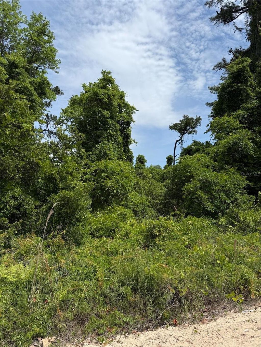 Photo of 000 Folklore Dr, Satsuma, FL 32189 (MLS # G5111580)