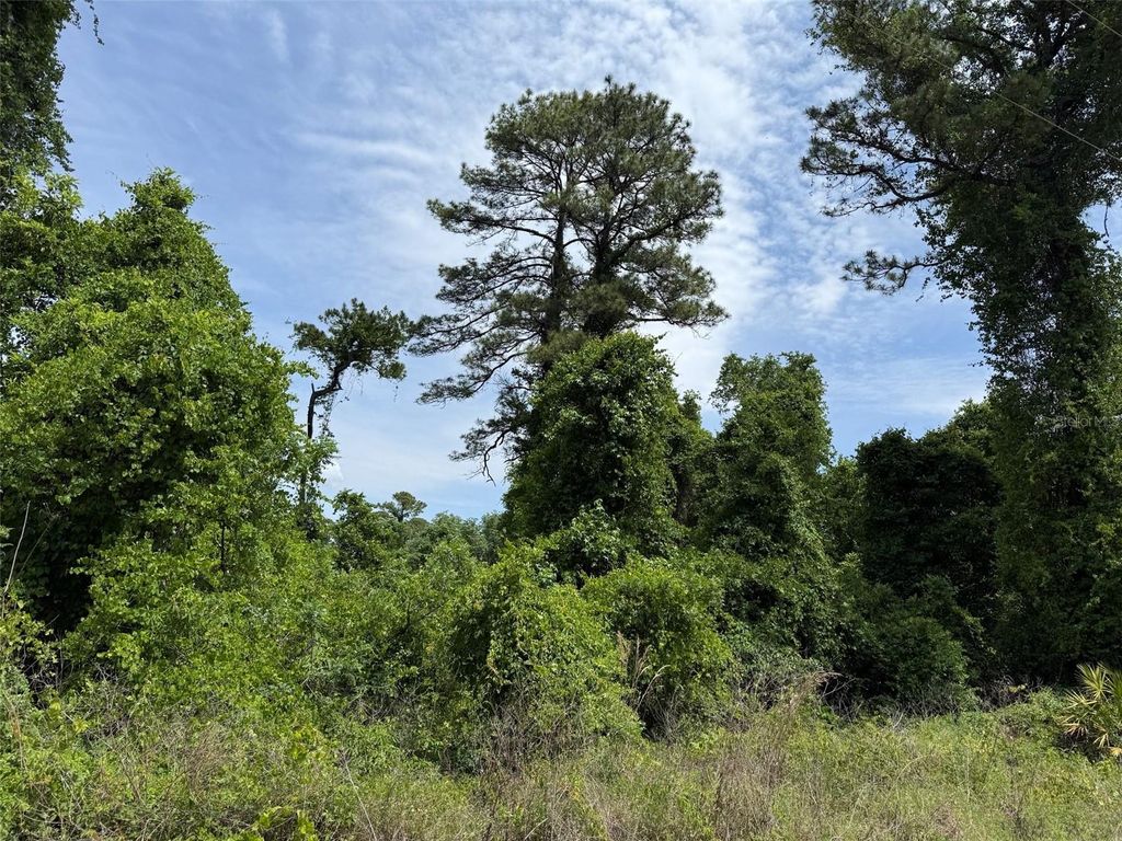 Photo of 000 Folklore Dr, Satsuma, FL 32189 (MLS # G5111580)