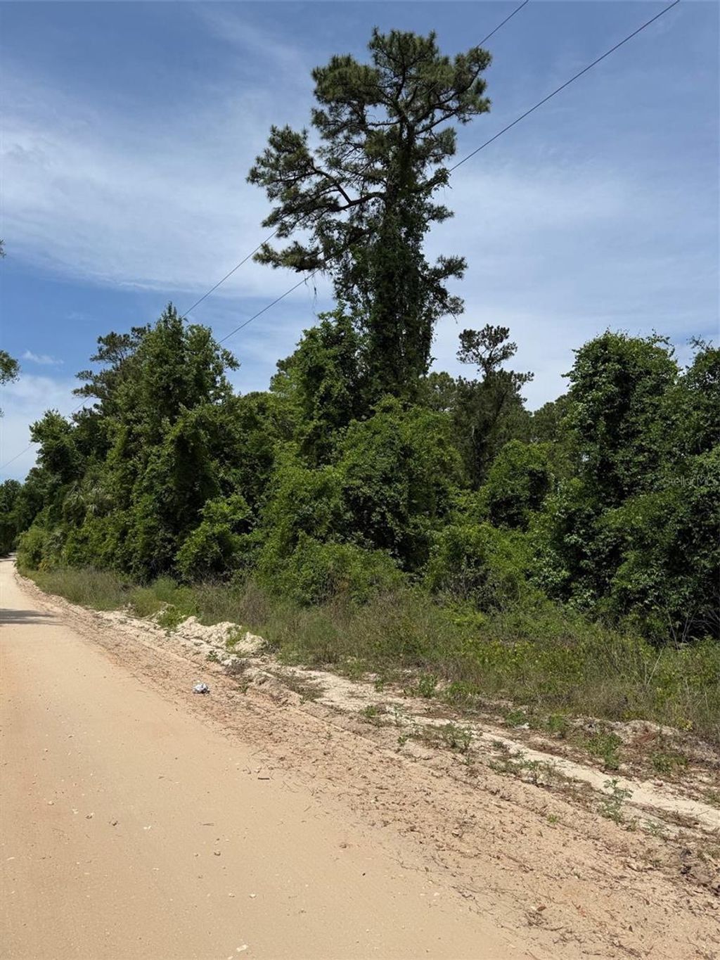 Photo of 000 Folklore Dr, Satsuma, FL 32189 (MLS # G5111580)
