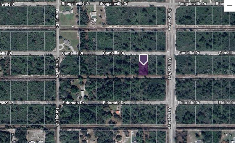 INDIAN LAKE ESTATES - Land