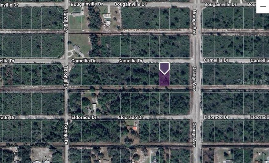 High and Dry, Build your forever home on this beautiful half acre lot and experience all the peace, serenity and superb lifestyle that can be found at Indian Lake Estates. A community that truly has something for everyone.  Conveniently located about an hour's drive from all of central Florida’s attractions and major international airports. This lot is Half an Acre, and close by to existing homes making power hookup a breeze.