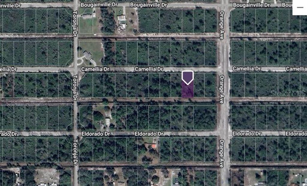Photo of 805 Camellia Drive, Indian Lake Estates, FL 33855 (MLS # A4667454)