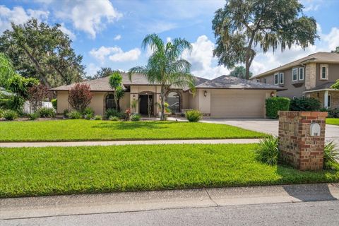 A home in VALRICO